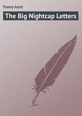 Aunt Fanny The Big Nightcap Letters обложка книги