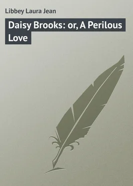Laura Libbey Daisy Brooks: or, A Perilous Love обложка книги