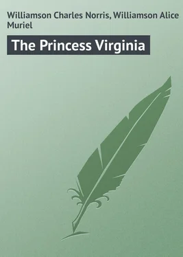 Alice Williamson The Princess Virginia обложка книги