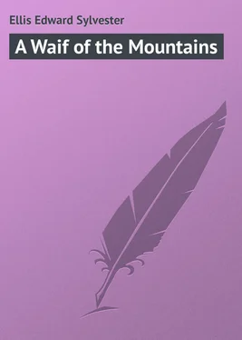 Edward Ellis A Waif of the Mountains обложка книги