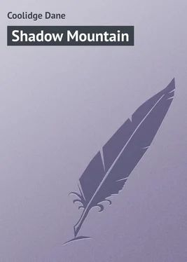 Dane Coolidge Shadow Mountain обложка книги