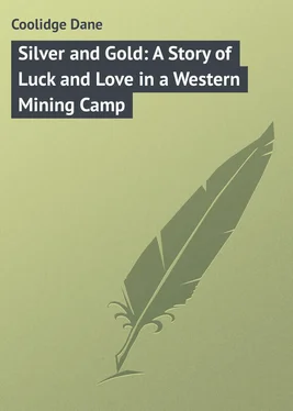 Dane Coolidge Silver and Gold: A Story of Luck and Love in a Western Mining Camp обложка книги