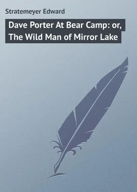 Edward Stratemeyer Dave Porter At Bear Camp: or, The Wild Man of Mirror Lake обложка книги