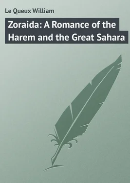 William Le Queux Zoraida: A Romance of the Harem and the Great Sahara обложка книги