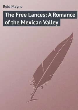 Mayne Reid The Free Lances: A Romance of the Mexican Valley обложка книги