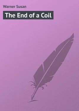 Susan Warner The End of a Coil обложка книги