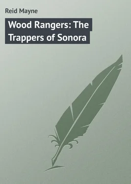 Mayne Reid Wood Rangers: The Trappers of Sonora обложка книги