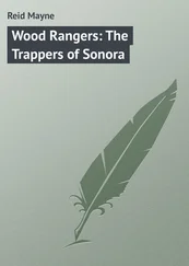 Mayne Reid - Wood Rangers - The Trappers of Sonora