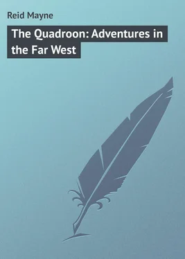 Mayne Reid The Quadroon: Adventures in the Far West обложка книги