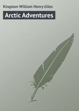 William Kingston Arctic Adventures обложка книги