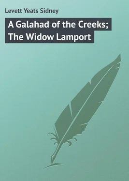 Yeats Levett A Galahad of the Creeks; The Widow Lamport обложка книги