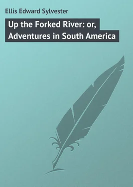 Edward Ellis Up the Forked River: or, Adventures in South America обложка книги