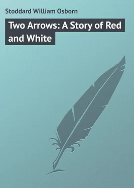 William Stoddard Two Arrows: A Story of Red and White обложка книги