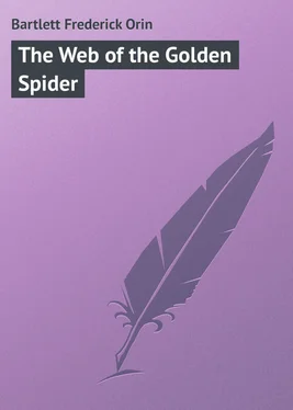 Frederick Bartlett The Web of the Golden Spider обложка книги