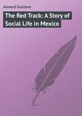 Gustave Aimard The Red Track: A Story of Social Life in Mexico обложка книги