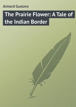 Gustave Aimard The Prairie Flower: A Tale of the Indian Border обложка книги