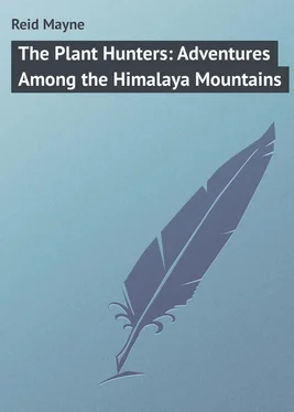 Mayne Reid The Plant Hunters: Adventures Among the Himalaya Mountains обложка книги