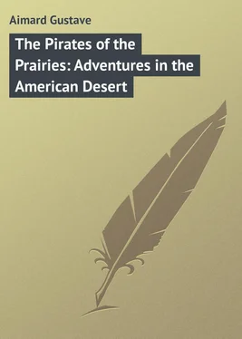 Gustave Aimard The Pirates of the Prairies: Adventures in the American Desert обложка книги