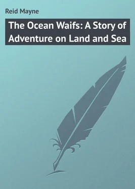 Mayne Reid The Ocean Waifs: A Story of Adventure on Land and Sea обложка книги