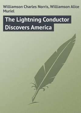 Alice Williamson The Lightning Conductor Discovers America обложка книги