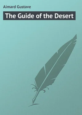 Gustave Aimard The Guide of the Desert обложка книги