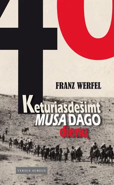 Franz Werfel Keturiasdešimt Musa Dago dienų обложка книги