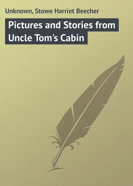 Harriet Stowe Pictures and Stories from Uncle Tom's Cabin обложка книги