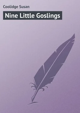 Susan Coolidge Nine Little Goslings обложка книги