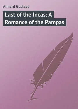 Gustave Aimard Last of the Incas: A Romance of the Pampas обложка книги