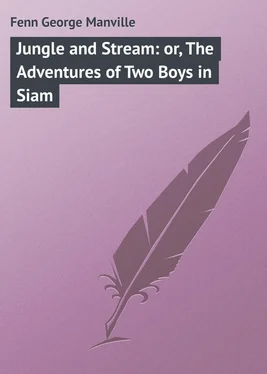 George Fenn Jungle and Stream: or, The Adventures of Two Boys in Siam обложка книги