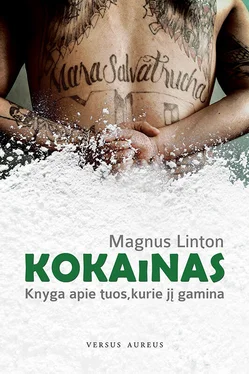 Magnus Linton Kokainas: knyga apie tuos, kurie jį gamina обложка книги