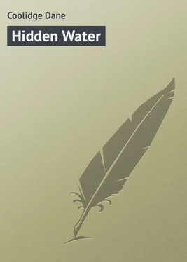 Dane Coolidge Hidden Water обложка книги