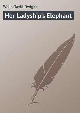 David Wells Her Ladyship's Elephant обложка книги