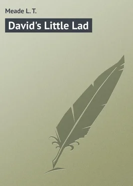 L. Meade David's Little Lad обложка книги