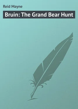 Mayne Reid Bruin: The Grand Bear Hunt обложка книги