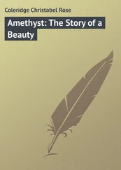 Christabel Coleridge - Amethyst - The Story of a Beauty