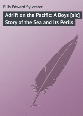 Edward Ellis Adrift on the Pacific: A Boys [sic] Story of the Sea and its Perils обложка книги