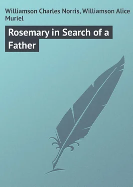 Charles Williamson Rosemary in Search of a Father обложка книги