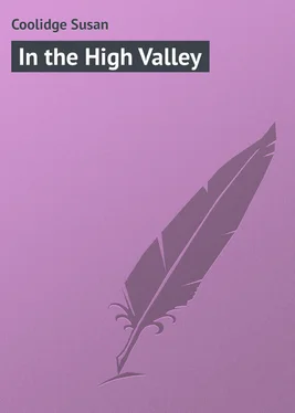 Susan Coolidge In the High Valley обложка книги
