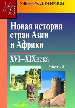 Коллектив авторов Новая история стран Азии и Африки. XVI–XIX века. Часть 3 обложка книги