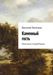 Василий Лягоскин - Каменный гость. Пятая книга о Серой Мышке