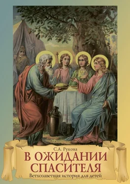 София Рукова В ожидании Спасителя. Ветхозаветная история для детей обложка книги