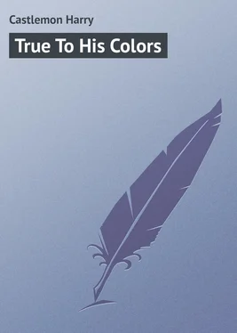Harry Castlemon True To His Colors обложка книги