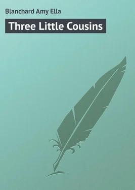 Amy Blanchard Three Little Cousins обложка книги