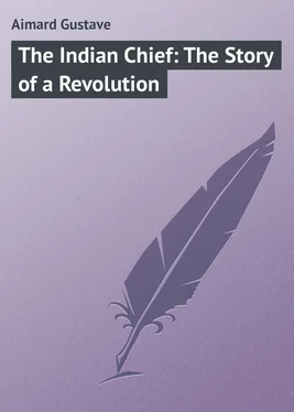 Gustave Aimard The Indian Chief: The Story of a Revolution обложка книги