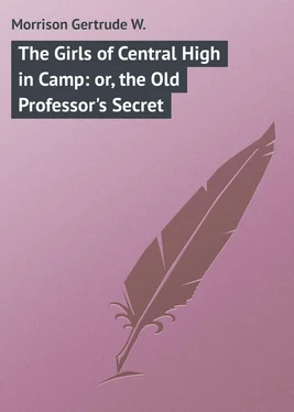 Gertrude Morrison The Girls of Central High in Camp: or, the Old Professor's Secret обложка книги
