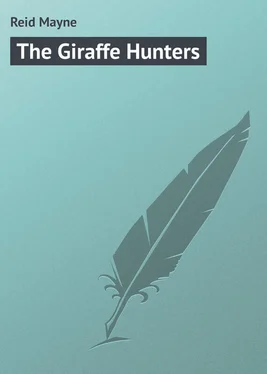 Mayne Reid The Giraffe Hunters обложка книги