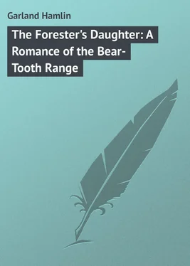Hamlin Garland The Forester's Daughter: A Romance of the Bear-Tooth Range обложка книги