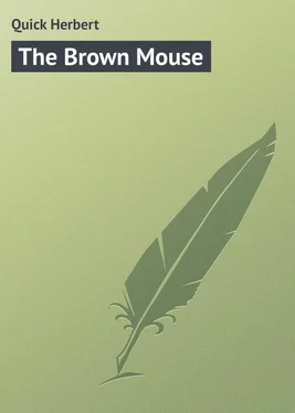 Herbert Quick The Brown Mouse обложка книги