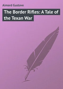 Gustave Aimard The Border Rifles: A Tale of the Texan War обложка книги